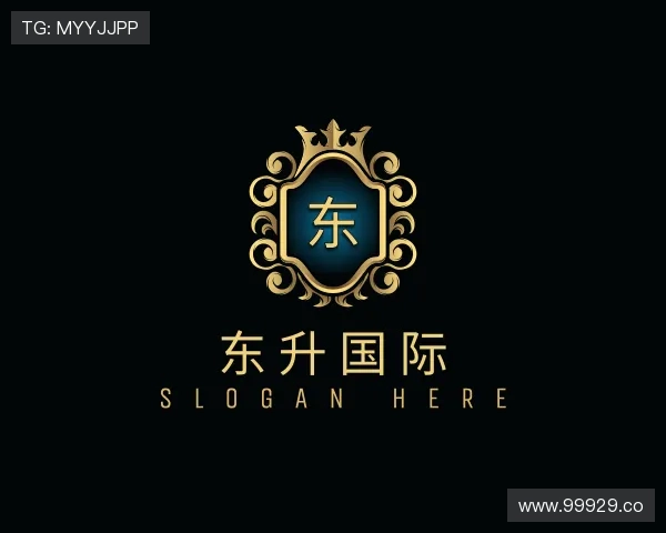发现东升国际
